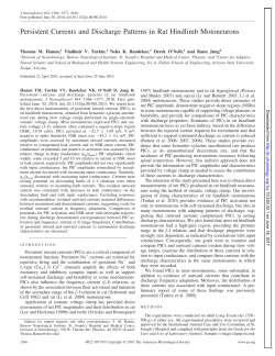 Persistent Currents and Discharge Patterns in Rat Hindlimb
