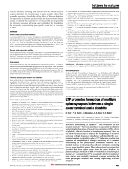 LTP promotes formation of multiple spine synapses