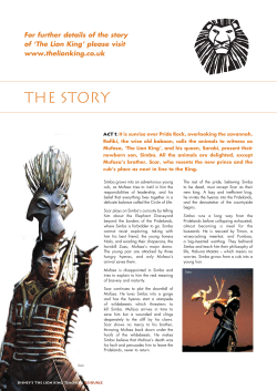 THE Story - Lion King Education