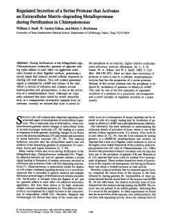 Regulated Secretion of a Serine Protease that