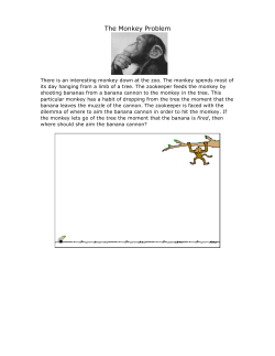 The Monkey Problem
