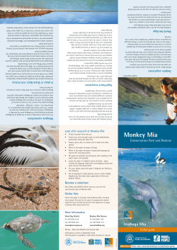 Monkey Mia - Trails WA