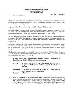 Minutes - County of Maui