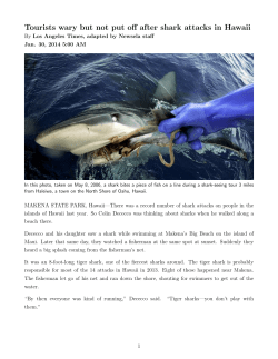 Tourists wary but not put off after shark attacks in Hawaii