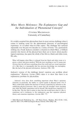 Mary Meets Molyneux: The Explanatory Gap and the Individuation of