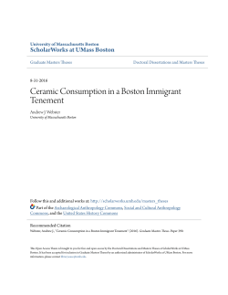 Ceramic Consumption in a Boston Immigrant Tenement