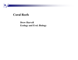 Coral Reefs