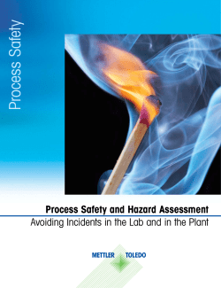 Process Safety and Hazard Assessment