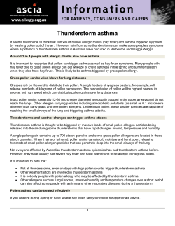 Thunderstorm asthma