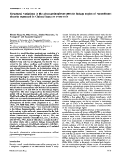 Structural variations in the glycosaminoglycan