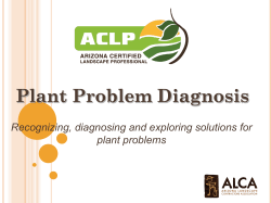 Plant Problem Diagnosis Powerpoint