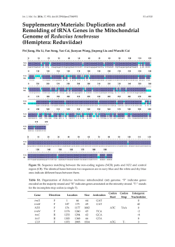 Supplementary Materials: Duplication and Remolding of tRNA