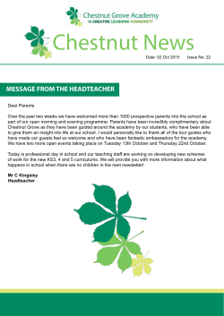 Chestnut News Issue 22 - Chestnut Grove Academy