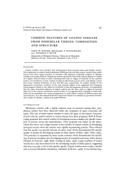 common features of coated vesicles from dissimilar tissues
