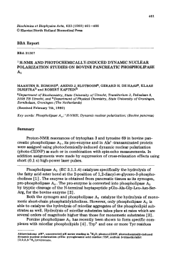 BBA Report - Utrecht University Repository