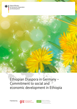 Ethiopian Diaspora in Germany &ndash; Commitment to social and