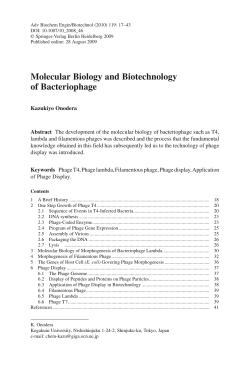 Molecular Biology and Biotechnology of Bacteriophage