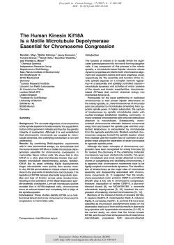 The human kinesin Kif18A is a motile microtubule