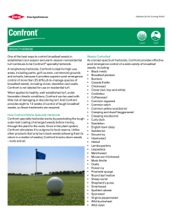 One of the best ways to control broadleaf weeds in established cool