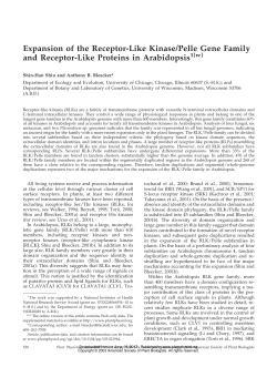 Expansion of the Receptor-Like Kinase/Pelle Gene Family and