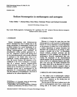 Sodium bioenergetics in methanogens and acetogens