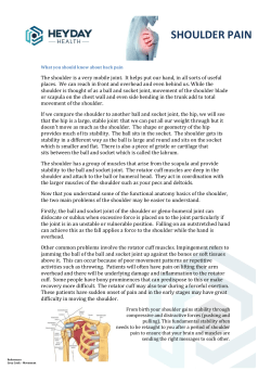 shoulder pain - Heyday Health