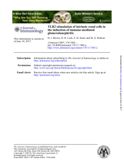 TLR2 stimulation of intrinsic renal cells in the induction of immune
