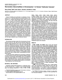 Nonrandom Abnormalities in Chromosome 1 in Human Testicular