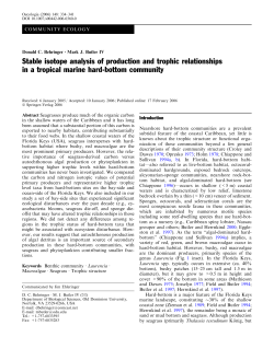 Stable isotope analysis of production and trophic relationships in a