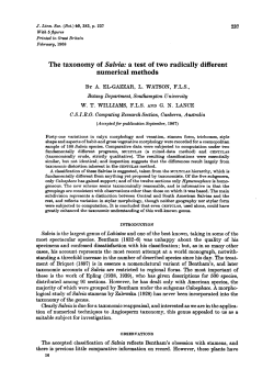 The taxonomy of Salvia: a test of two radically different numerical