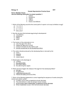 Biology 12 KEY Female Reproduction Practice Exam Part A