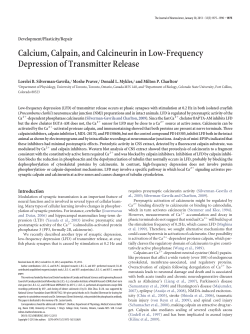 PDF - Journal of Neuroscience