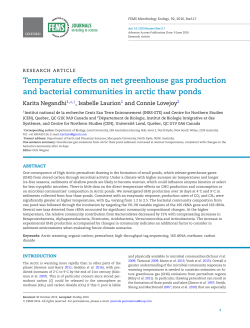 Temperature effects on net greenhouse gas