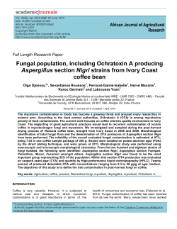 Fungal population, including Ochratoxin A producing Aspergillus