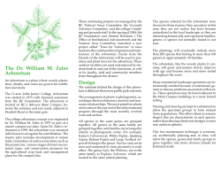 The Dr. William M. Zales Arboretum Design