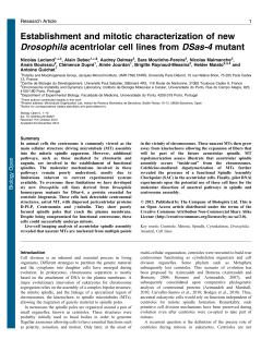 Establishment and mitotic characterization of new