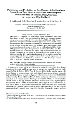 Parasitism and Predation on Egg Masses ofthe Southern Green