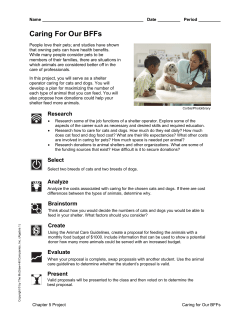 Bloom`s Digital Taxonomy