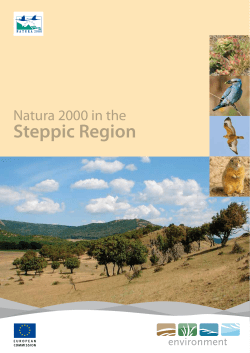 Steppic Region - European Commission