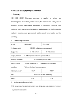 HGH-300B(500B) High Purity Hydrogenous Gas