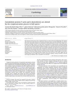 Cytoskeletal proteins F-actin and &Icirc;&sup2;-dystrobrevin are - FMVZ