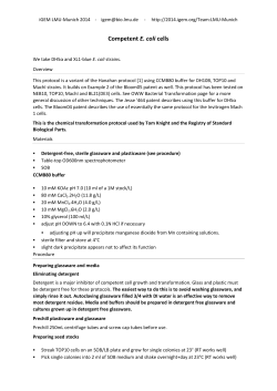 E. coli Competent Cells