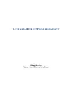 2. the magnitude of marine biodiversity