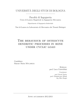 The behaviour of osteocyte dendritic processes in bone under cyclic