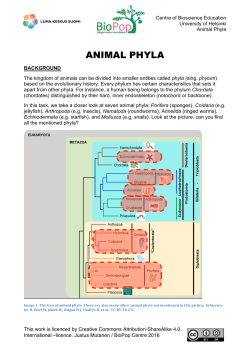 ANIMAL PHYLA
