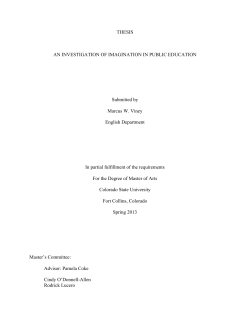 THESIS AN INVESTIGATION OF IMAGINATION IN