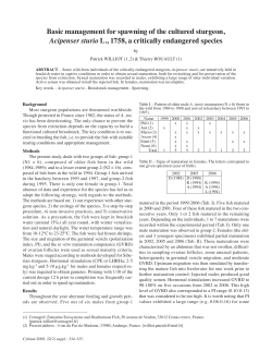 Basic management for spawning of the cultured sturgeon, Acipenser