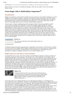 From Single Cells to Multicellular Organisms