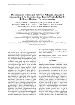 Determination of the Main Reference Values in Ultrasound