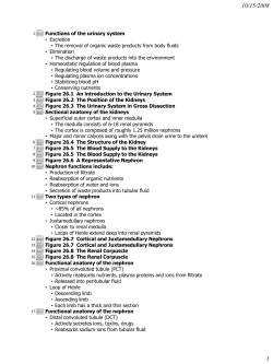 Kidney Lectureoutline